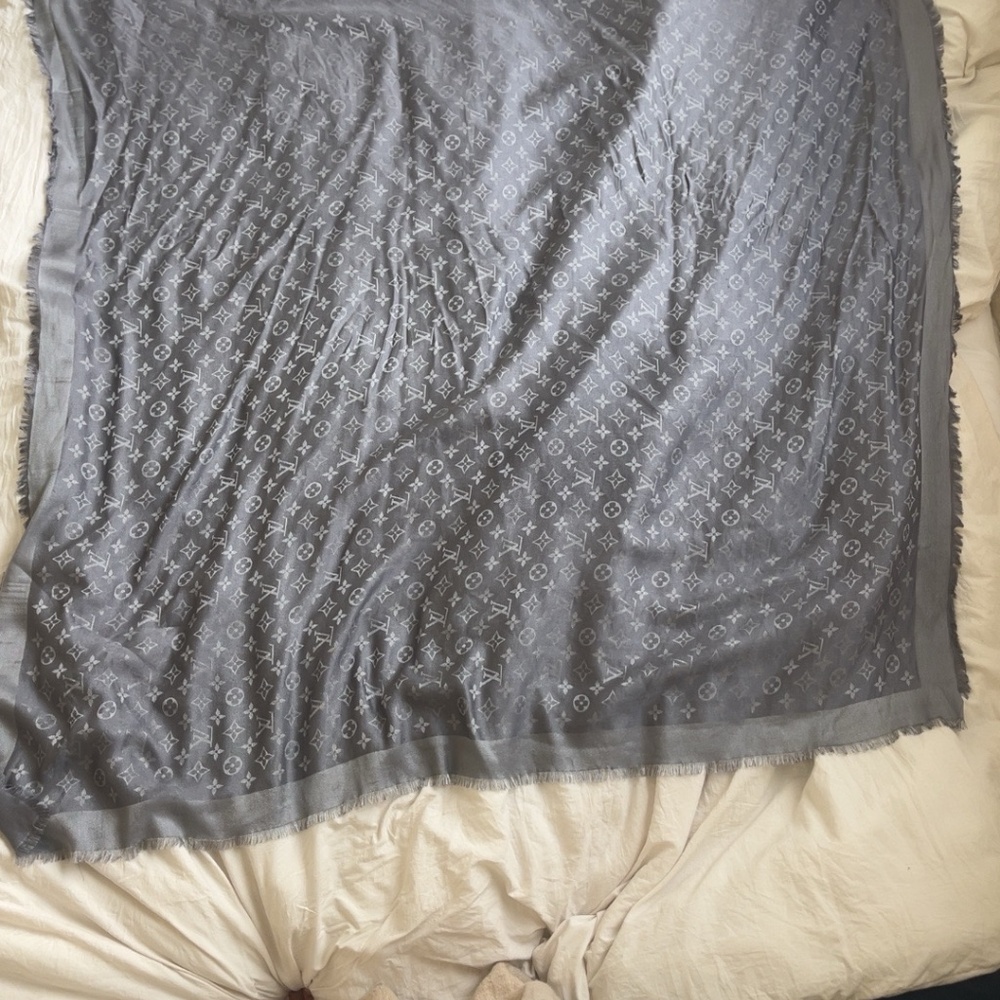 Louis Vouitton Silver/Grey Scarf - Picture 2 of 3